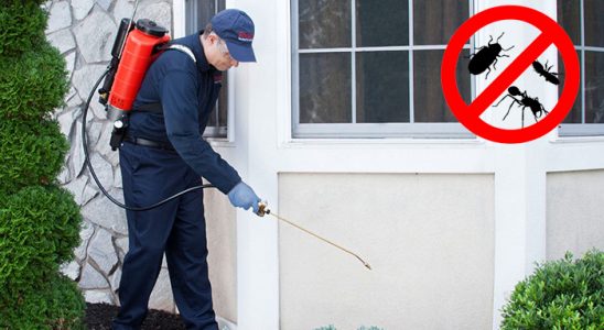 Evka 3 Uçan Haşere İlaçlama böcek ilaçlama ve haşere kontrolü — ilaclama-tr.com